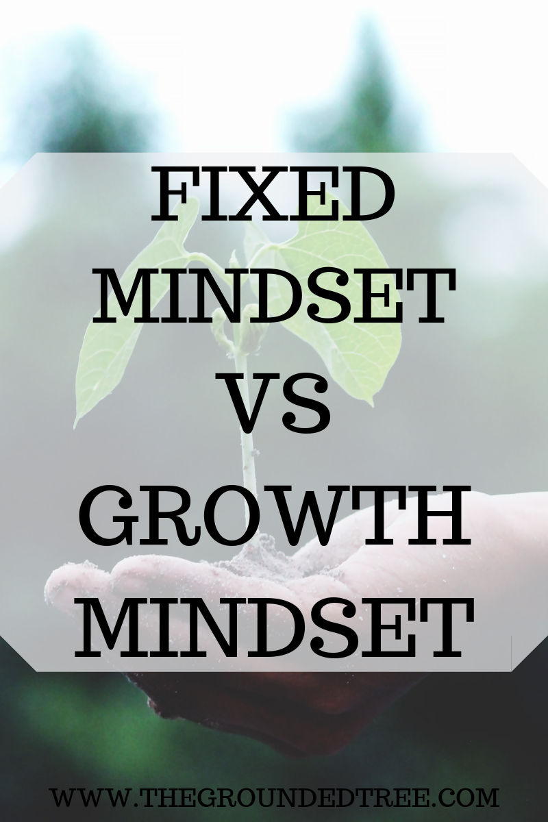 FIXED MINDSET VS GROWTH MINDSET