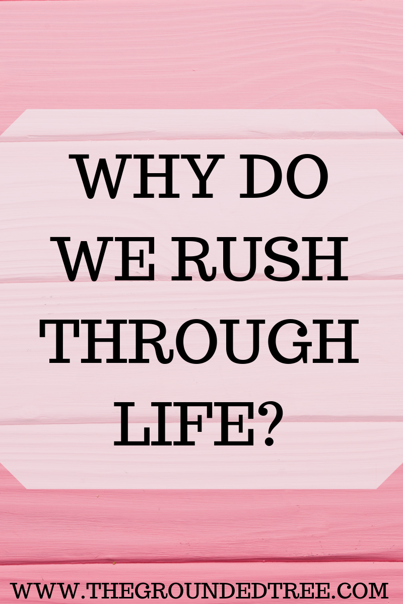 WHY DO WE RUSH THROUGH LIFE?